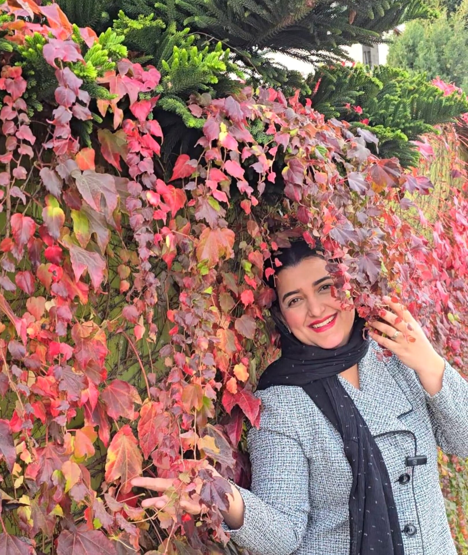 دیوار پوش موچسب