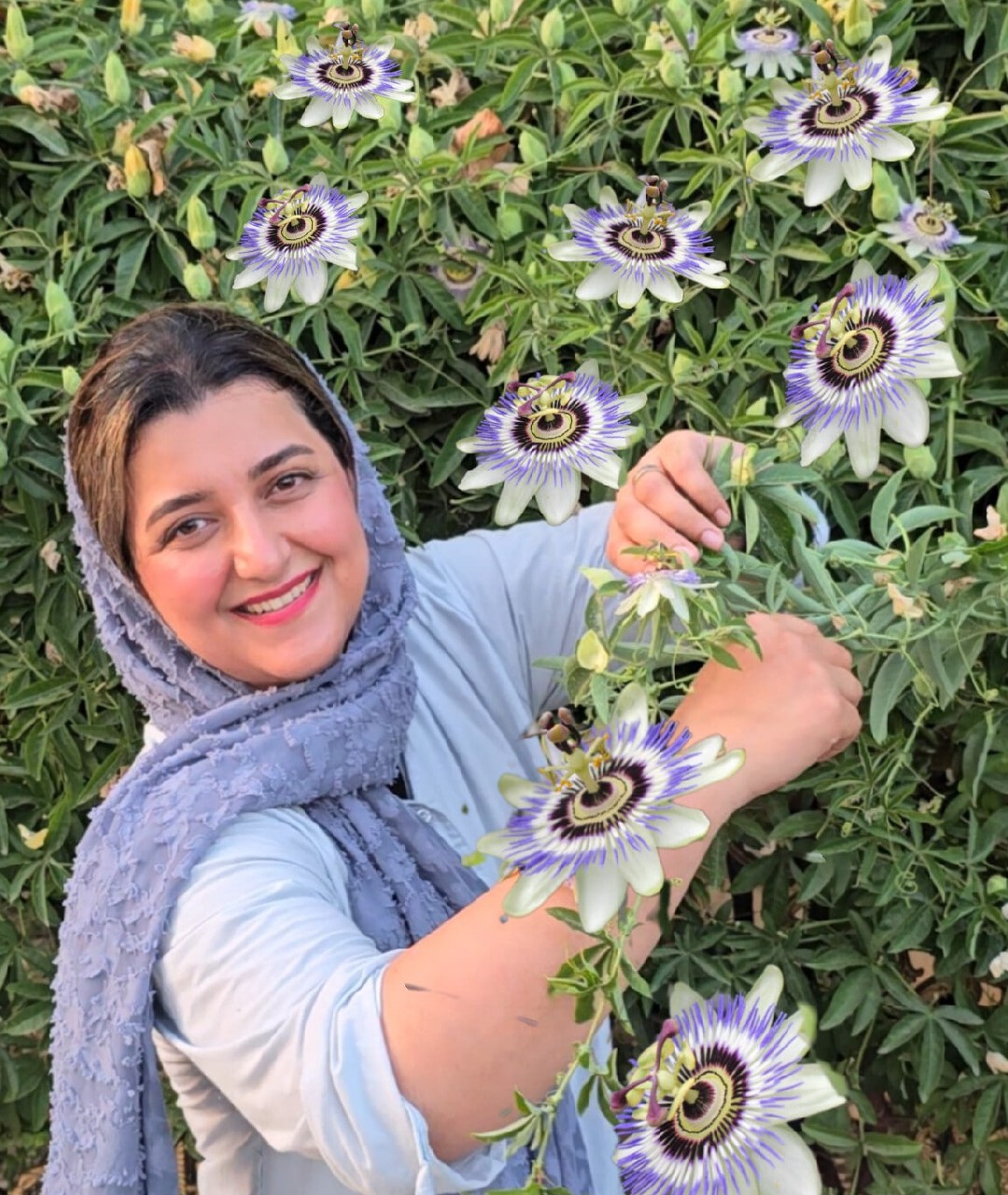 گل ساعتی بزرگتر