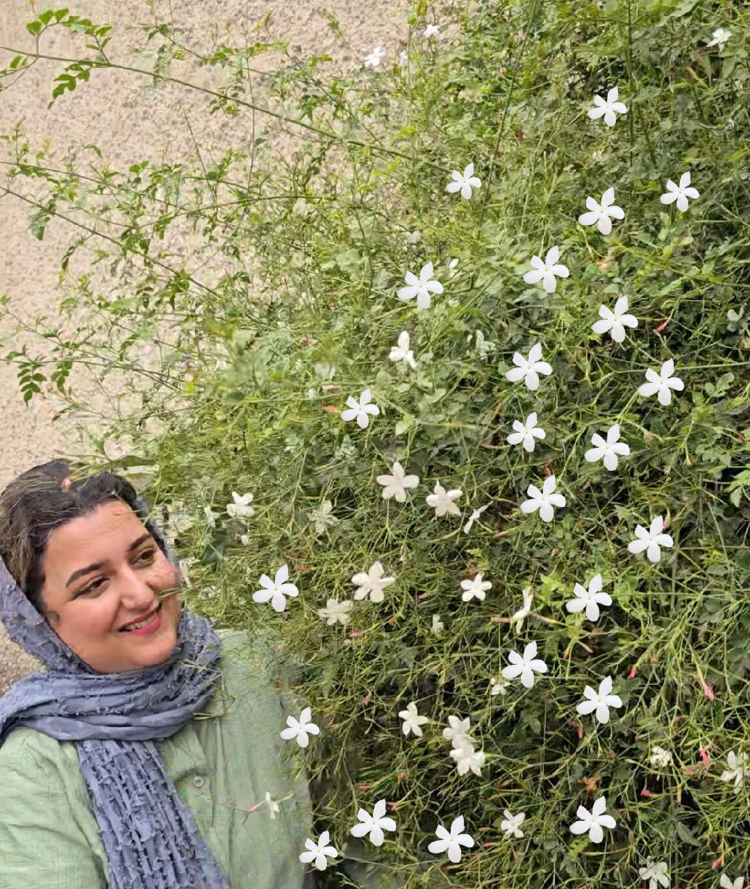 یاس چمپا معطر