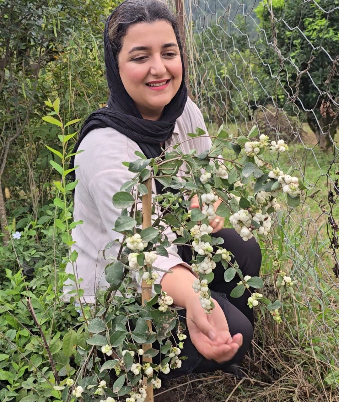 مروارید سفید