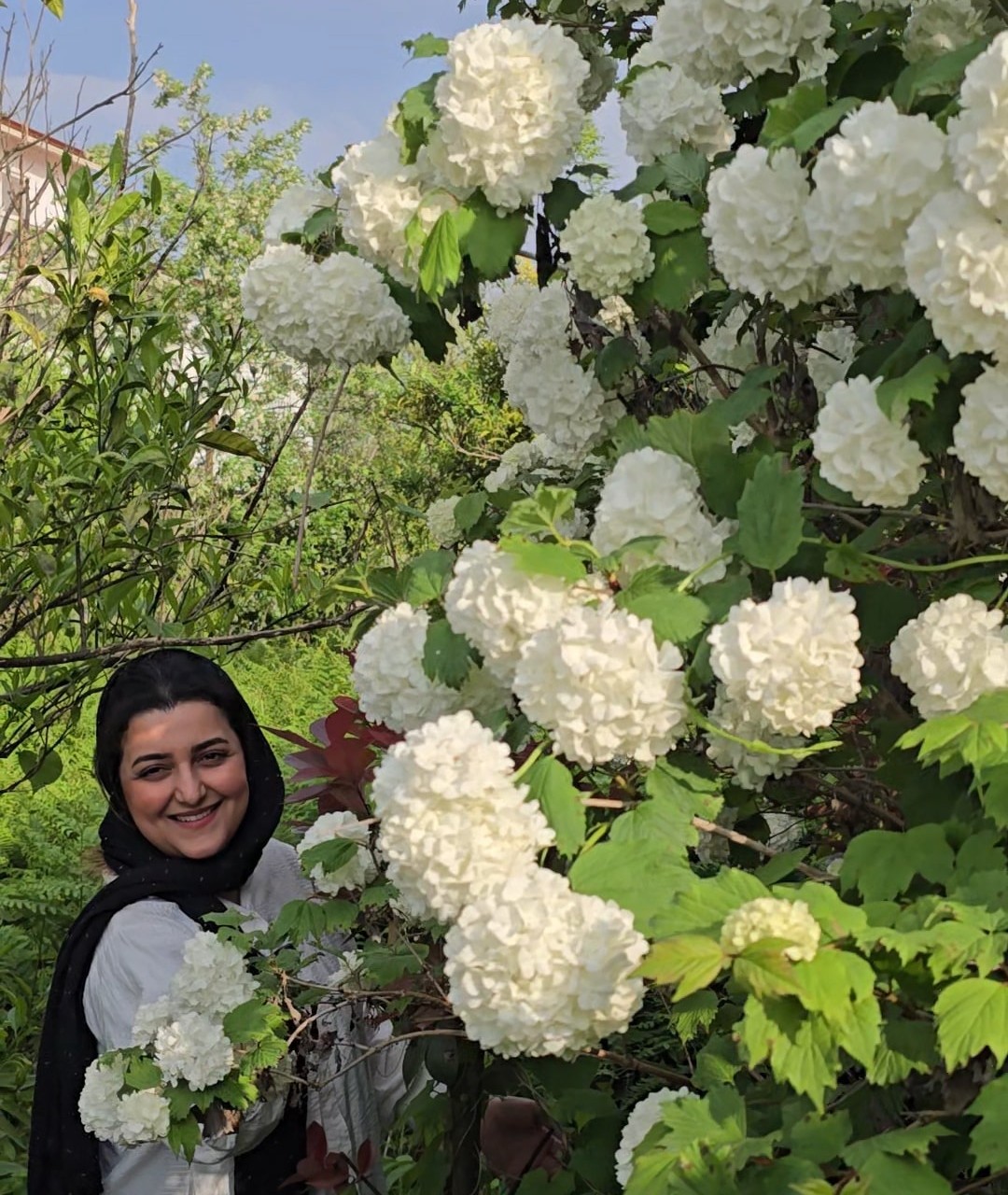 بوداغ بالغ بزرگ