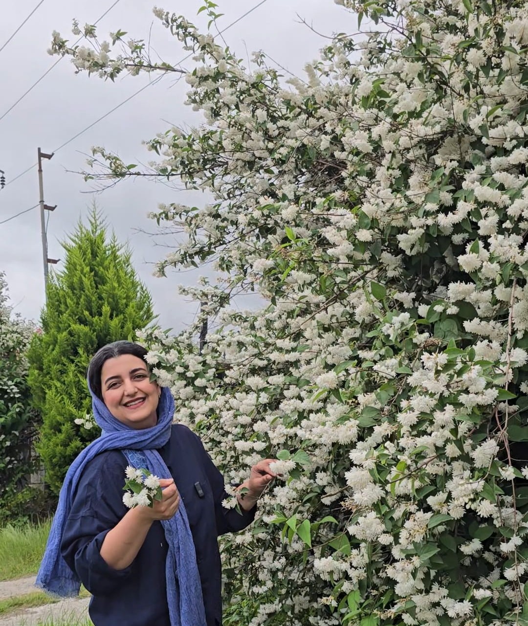 درختچه یاس دوتزیا پربوته بزرگ